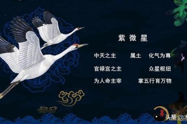 紫薇斗数辅助星