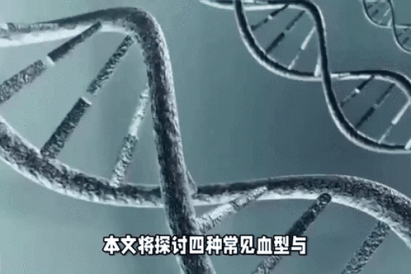 智商高的血型有哪些呢