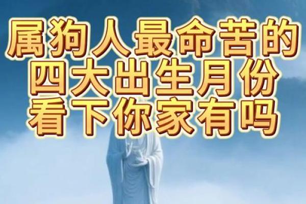 属狗是哪一年出生的 属狗的男孩出生吉日