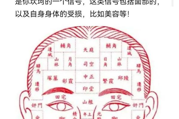 眼皮看面相算命