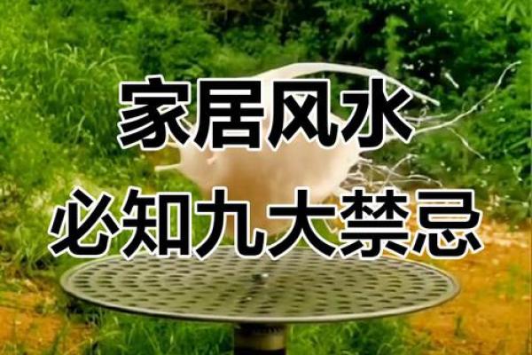家居风水助你望子成龙