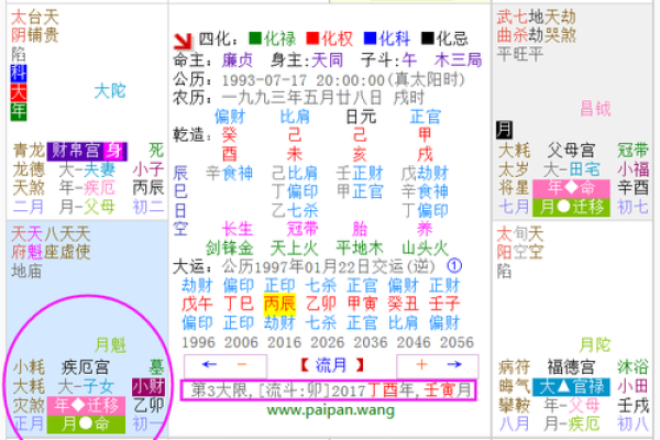 紫薇斗数看每日流盘