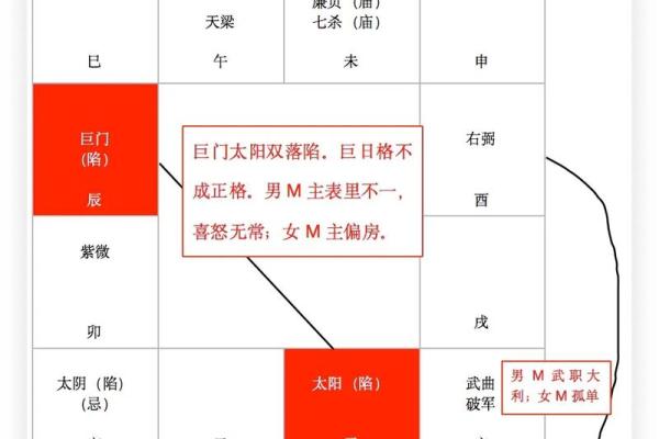 紫微斗数之疾厄宫与诸星,天相星在疾病宫是什么意思? 紫微斗数之疾厄宫与诸星,天相星在疾病宫是什么意思?