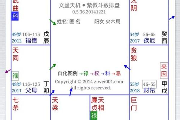 紫薇斗数排版