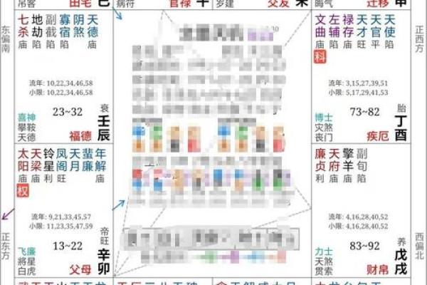 修行人的紫薇斗数