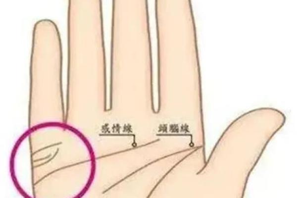 男人左手手相算命图解 婚姻线清晰无曲折象征幸福
