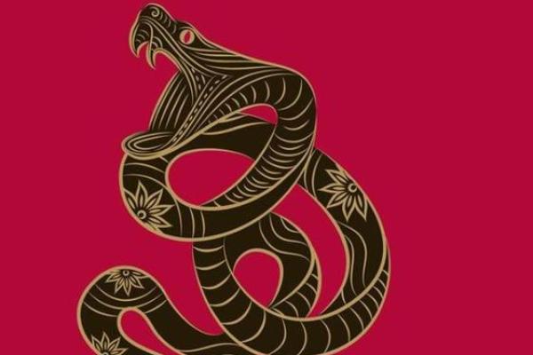 唐艺尹老师传统八字：蛇生肖出生时间看命运