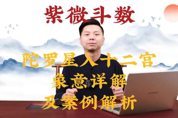紫薇斗数财帛官陀螺