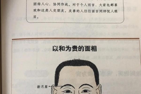 面相在线测试,在线扫一扫测面相