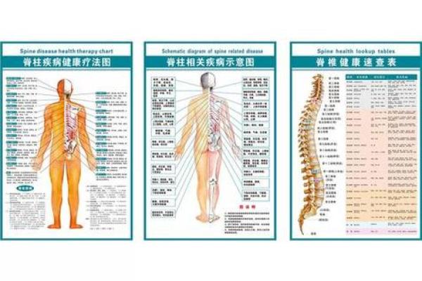 八字疗法图
