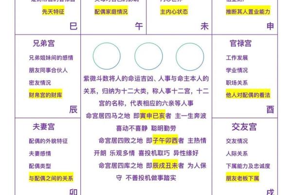 紫薇星斗命宫看长相
