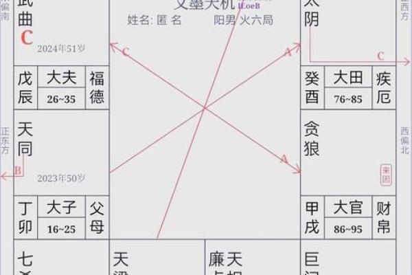 紫薇斗数阴阳属性