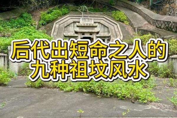 坟墓风水详解：看后人是福是祸