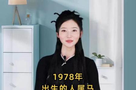 属马是哪一年出生的 属马的男孩出生吉日