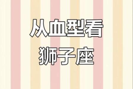 属鸡的狮子座血型分析