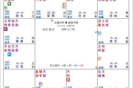 紫薇斗数二胎看那个宫位