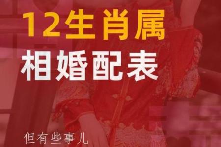 女蛇男兔生肖配对姻缘 属蛇女与属兔男婚姻配对详解