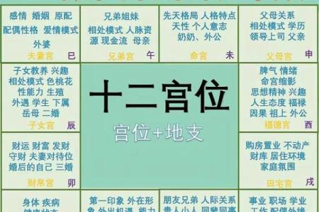 紫薇斗数贴吧