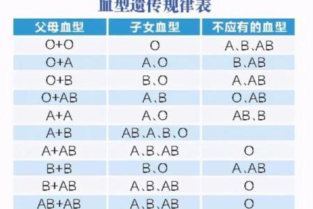 智商高的血型有哪些呢