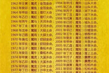 属狗是哪一年出生的 属狗的男孩出生吉日