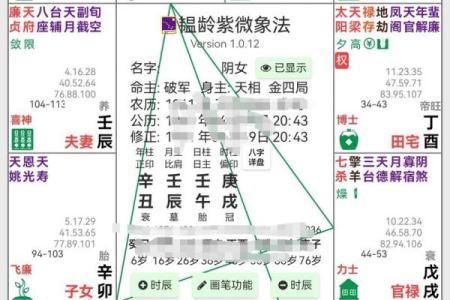 紫薇斗数最主要看什么