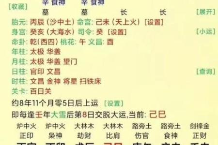 辛未八字
