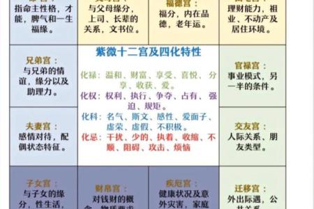 紫薇斗数排版