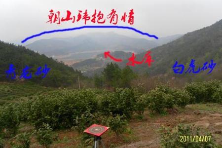 风水阴宅什么土质最好