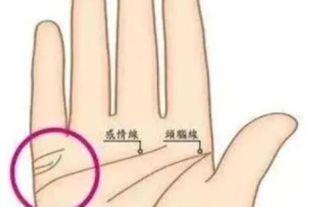 男人左手手相算命图解 婚姻线清晰无曲折象征幸福