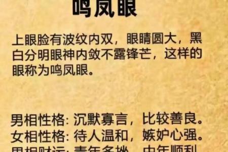 眼相算命图解大全