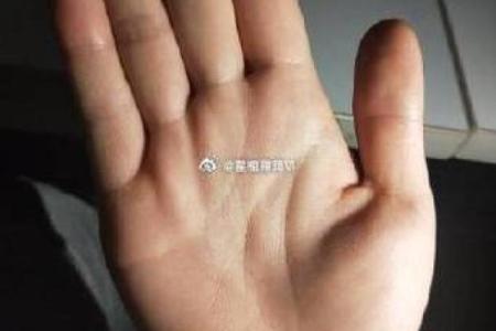 算命中指的官是什么