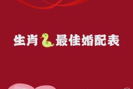 婚姻配对属蛇和属猪相克怎么办
