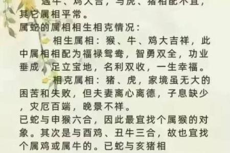 十二生肖最佳婚姻配对