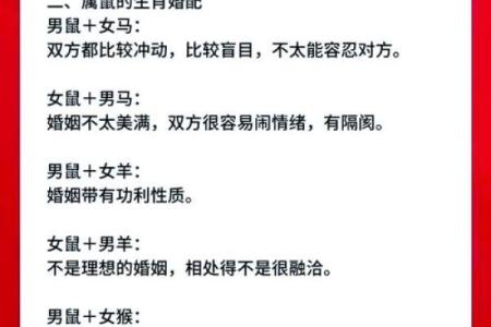 老鼠和什么属相最配对 老鼠和哪个属相最佳配对