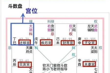 紫薇斗数的紫薇指什么