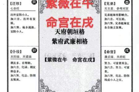 紫薇星斗命宫看长相