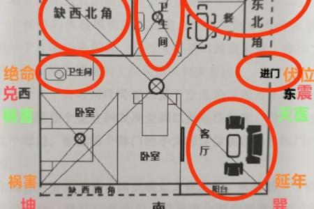 金命人买房朝向什么方位最好