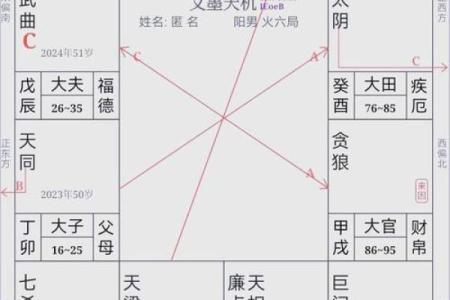 紫薇斗数阴阳属性