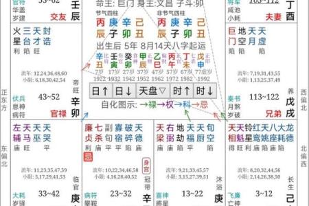 双星紫薇斗数