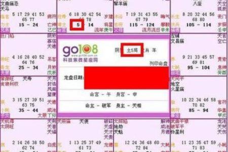 紫薇斗数怎么看以后有没有钱