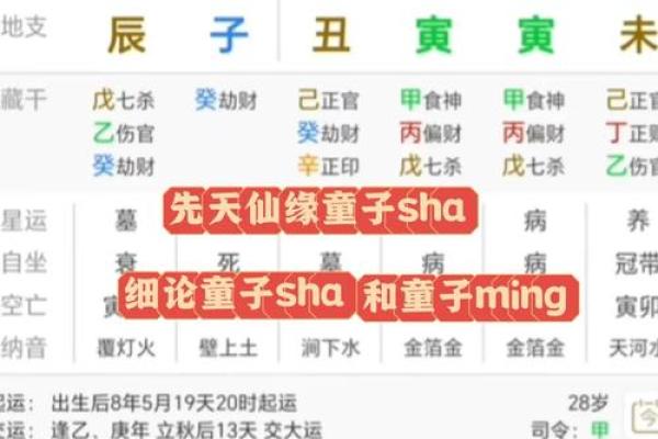 真童子命和假童子命 , 童子命的生辰八字算命