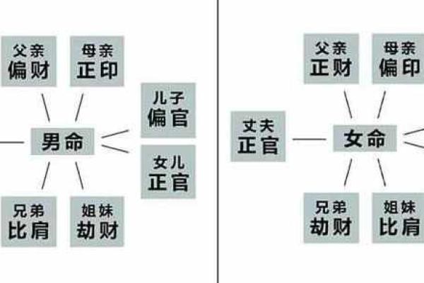 八字中的比肩