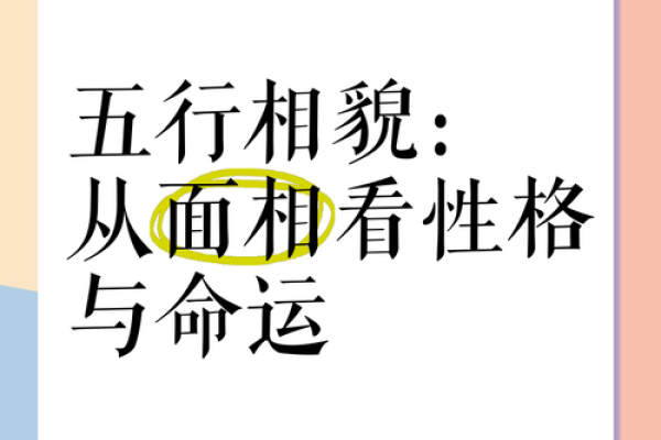 面相算命入门：五行与相貌