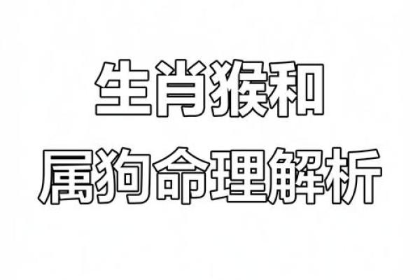 生肖配对看属狗属猴的婚姻怎么样