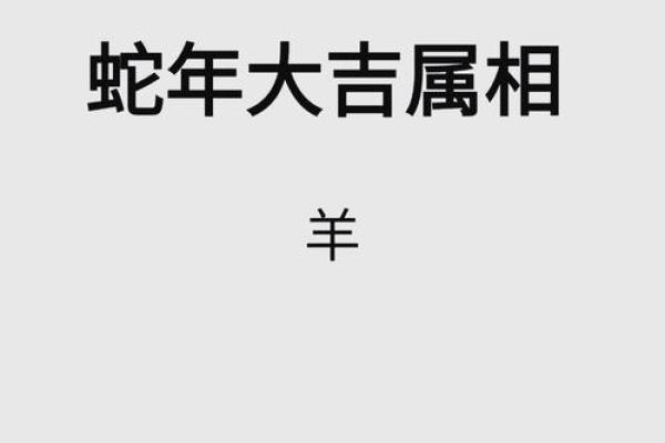 1991年属什么生肖配对