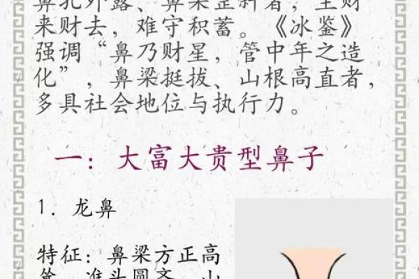 济缘算命：解读鼻子对命运的影响