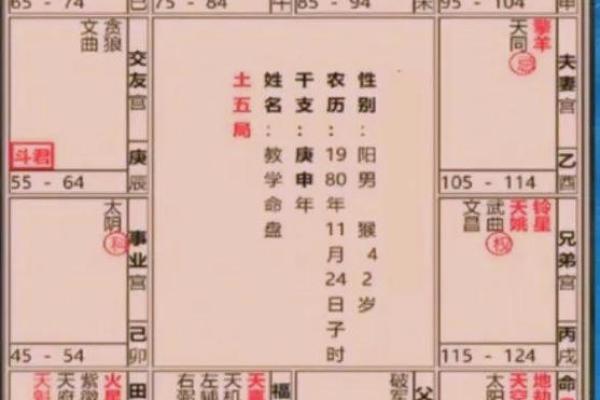 紫薇斗数忌在身宫文昌的简单介绍