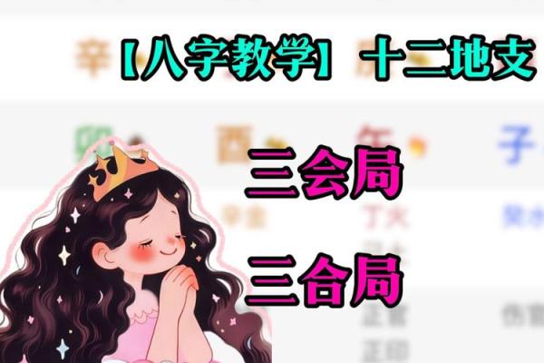 八字新手入门：三会局是什么？