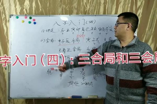 八字新手入门：三会局是什么？