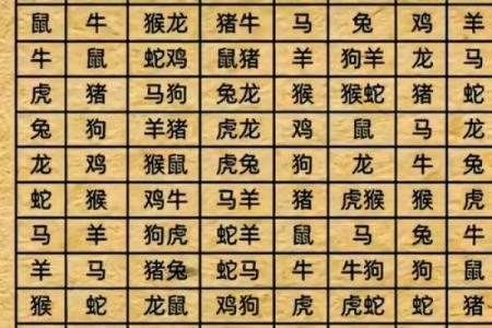 属鼠和什么属相最配对 属鼠和什么属相相冲